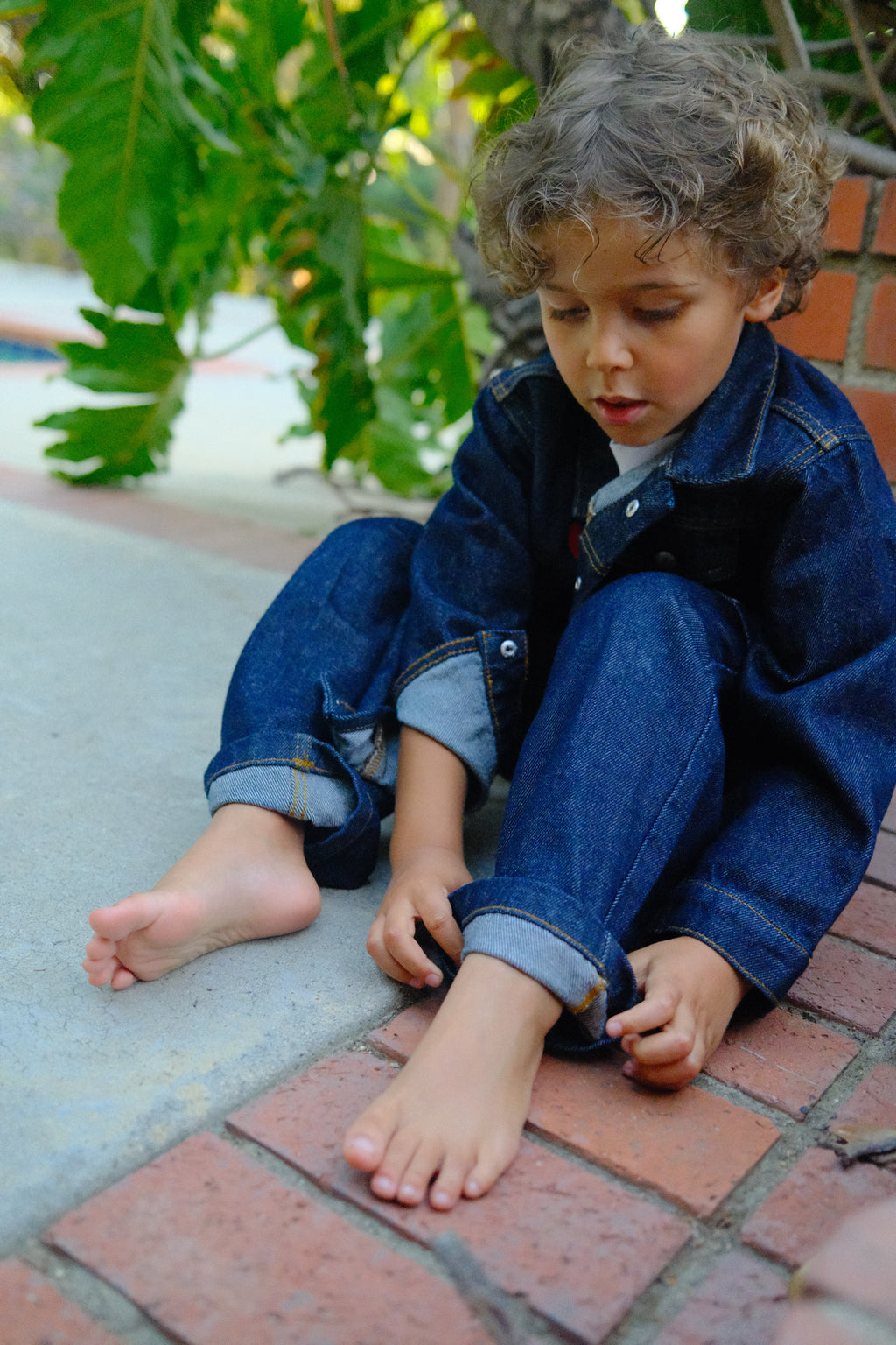The Jeans, Indigo Blue